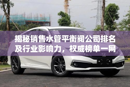 揭秘销售水管平衡阀公司排名及行业影响力，权威榜单一网打尽！