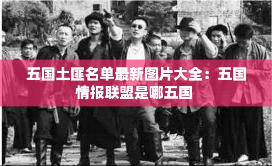 五国土匪名单最新图片大全：五国情报联盟是哪五国 
