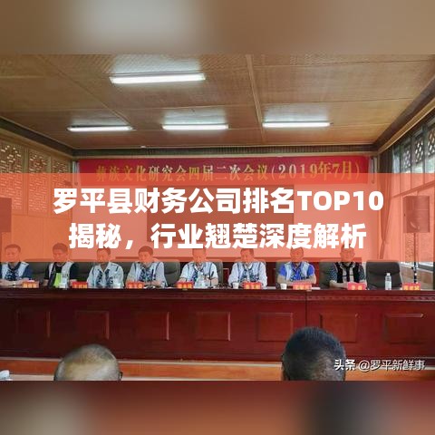 罗平县财务公司排名TOP10揭秘，行业翘楚深度解析