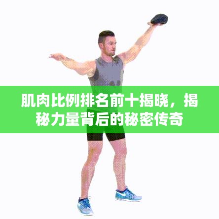 肌肉比例排名前十揭晓，揭秘力量背后的秘密传奇