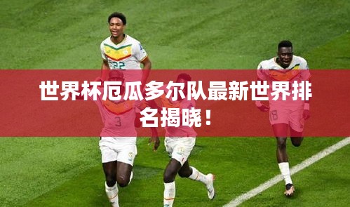 世界杯厄瓜多尔队最新世界排名揭晓！