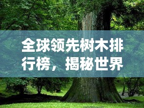 全球领先树木排行榜，揭秘世界顶级林木之美！