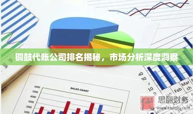 铜鼓代账公司排名揭秘，市场分析深度洞察