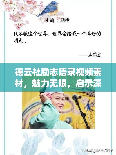 德云社励志语录视频素材，魅力无限，启示深远