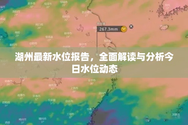 湖州最新水位报告，全面解读与分析今日水位动态