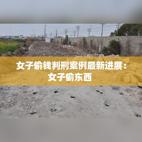 女子偷钱判刑案例最新进展：女子偷东西 