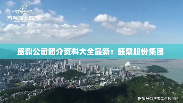 盛鼎公司简介资料大全最新：盛鼎股份集团 
