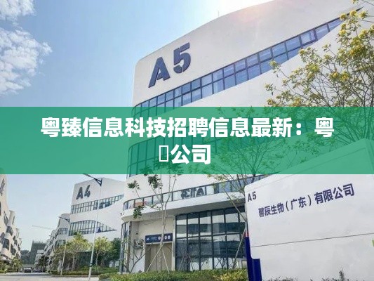 粤臻信息科技招聘信息最新：粤嵚公司 