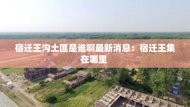 宿迁王沟土匪是谁啊最新消息：宿迁王集在哪里 