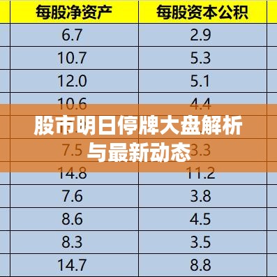 股市明日停牌大盘解析与最新动态