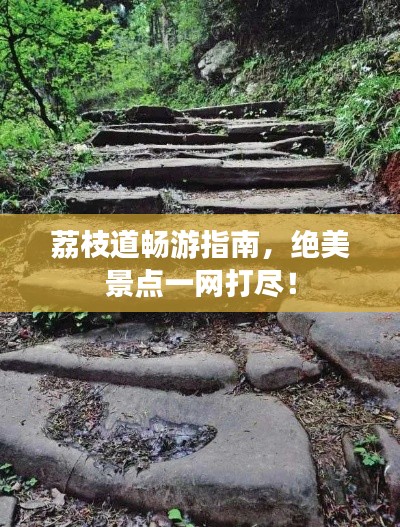 荔枝道畅游指南，绝美景点一网打尽！
