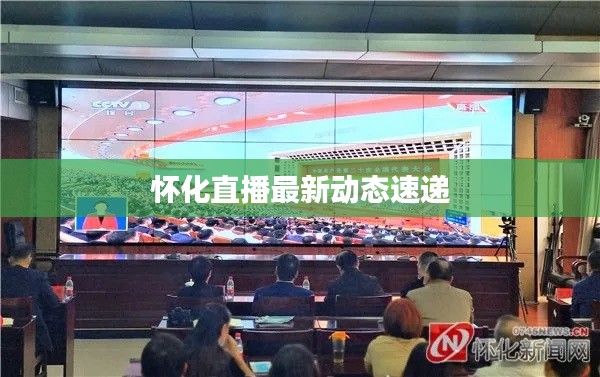 怀化直播最新动态速递