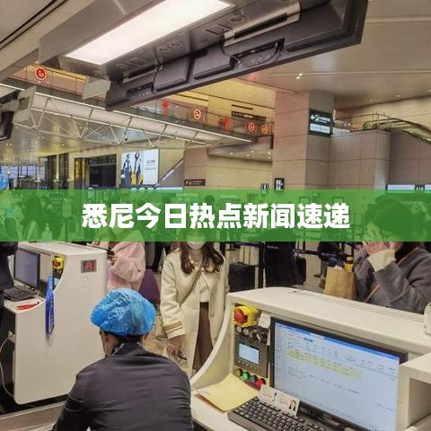 悉尼今日热点新闻速递