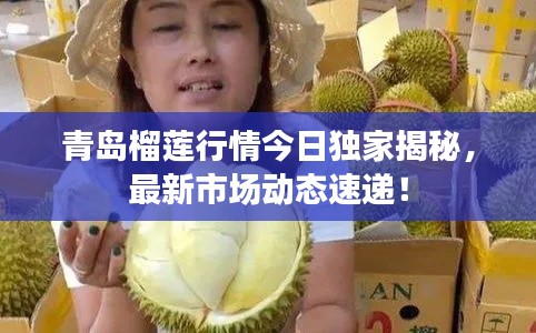 青岛榴莲行情今日独家揭秘，最新市场动态速递！