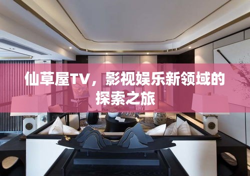 仙草屋TV，影视娱乐新领域的探索之旅