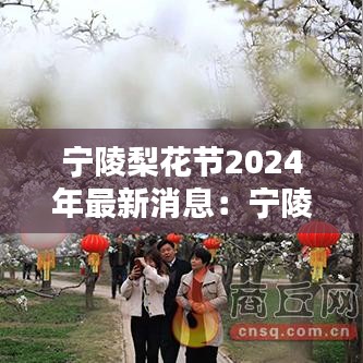 宁陵梨花节2024年最新消息：宁陵梨花节是几月几号 