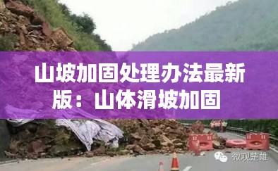 鸟语蝉鸣 第3页