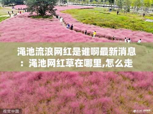 渑池流浪网红是谁啊最新消息：渑池网红草在哪里,怎么走 