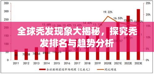 全球秃发现象大揭秘，探究秃发排名与趋势分析