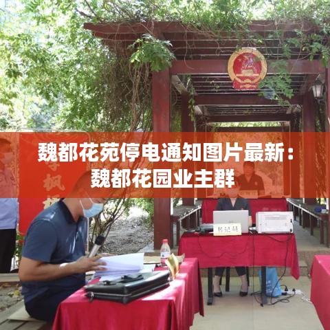 狗尾续貂 第3页