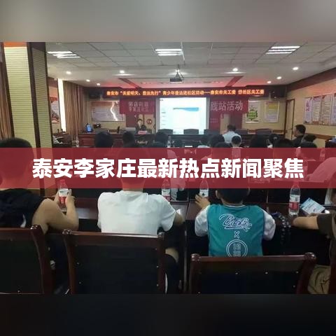泰安李家庄最新热点新闻聚焦