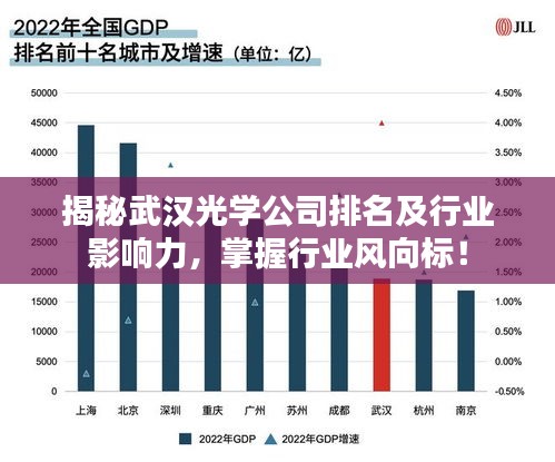 揭秘武汉光学公司排名及行业影响力，掌握行业风向标！