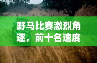 野马比赛激烈角逐，前十名速度与力量的巅峰对决