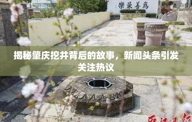 揭秘肇庆挖井背后的故事，新闻头条引发关注热议