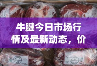 牛腱今日市场行情及最新动态，价格走势一网打尽！