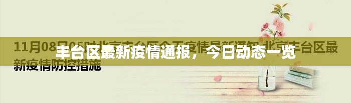 丰台区最新疫情通报，今日动态一览