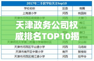 天津政务公司权威排名TOP10揭晓