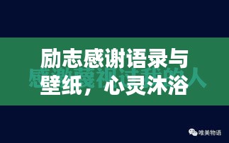 励志感谢语录与壁纸，心灵沐浴阳光的力量，百度收录标准标题。