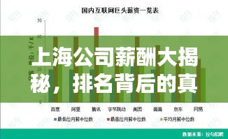 上海公司薪酬大揭秘，排名背后的真相！