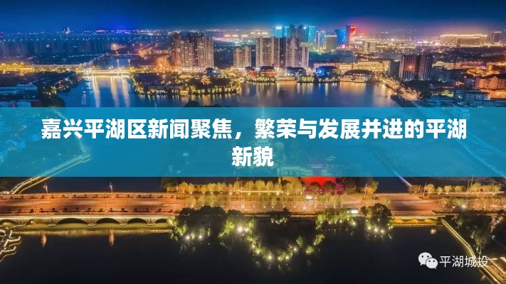 嘉兴平湖区新闻聚焦，繁荣与发展并进的平湖新貌