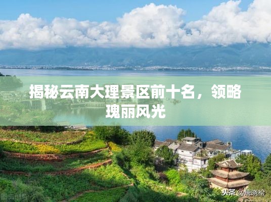 荣华富贵 第3页