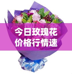 今日玫瑰花价格行情速递