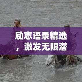 励志语录精选，激发无限潜能的作文模板金句