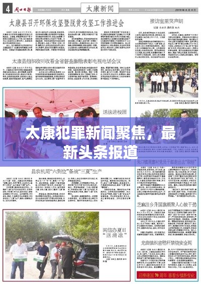 太康犯罪新闻聚焦，最新头条报道