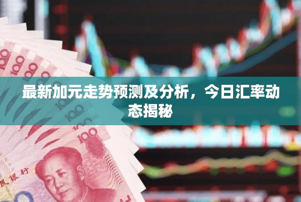 最新加元走势预测及分析，今日汇率动态揭秘