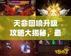 天命回响升级攻略大揭秘，最新指南助你飞速成长！