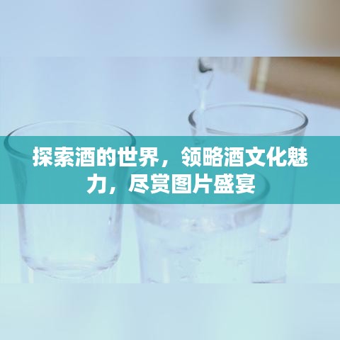 探索酒的世界，领略酒文化魅力，尽赏图片盛宴