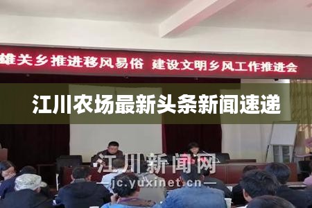江川农场最新头条新闻速递