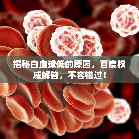 揭秘白血球低的原因，百度权威解答，不容错过！