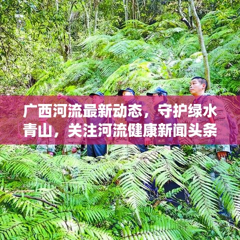 广西河流最新动态，守护绿水青山，关注河流健康新闻头条