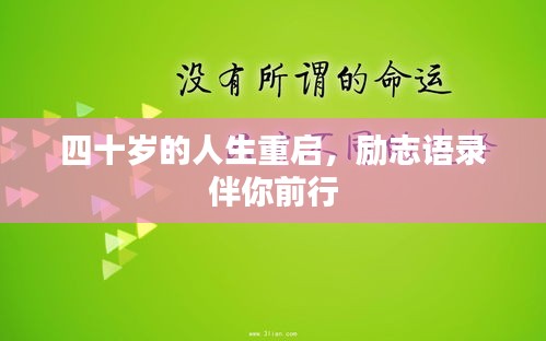 张灯挂彩 第3页