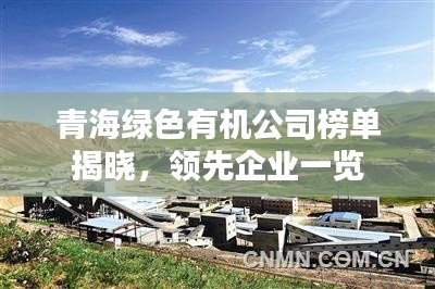 青海绿色有机公司榜单揭晓，领先企业一览