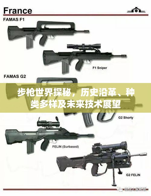 步枪世界探秘，历史沿革、种类多样及未来技术展望