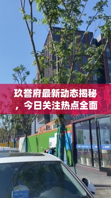 玖誉府最新动态揭秘，今日关注热点全面解读