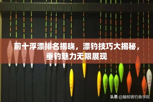 前十浮漂排名揭晓，漂钓技巧大揭秘，垂钓魅力无限展现