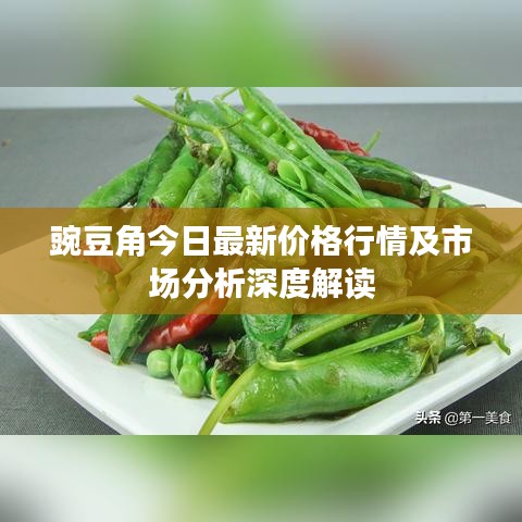 草创未就 第3页
